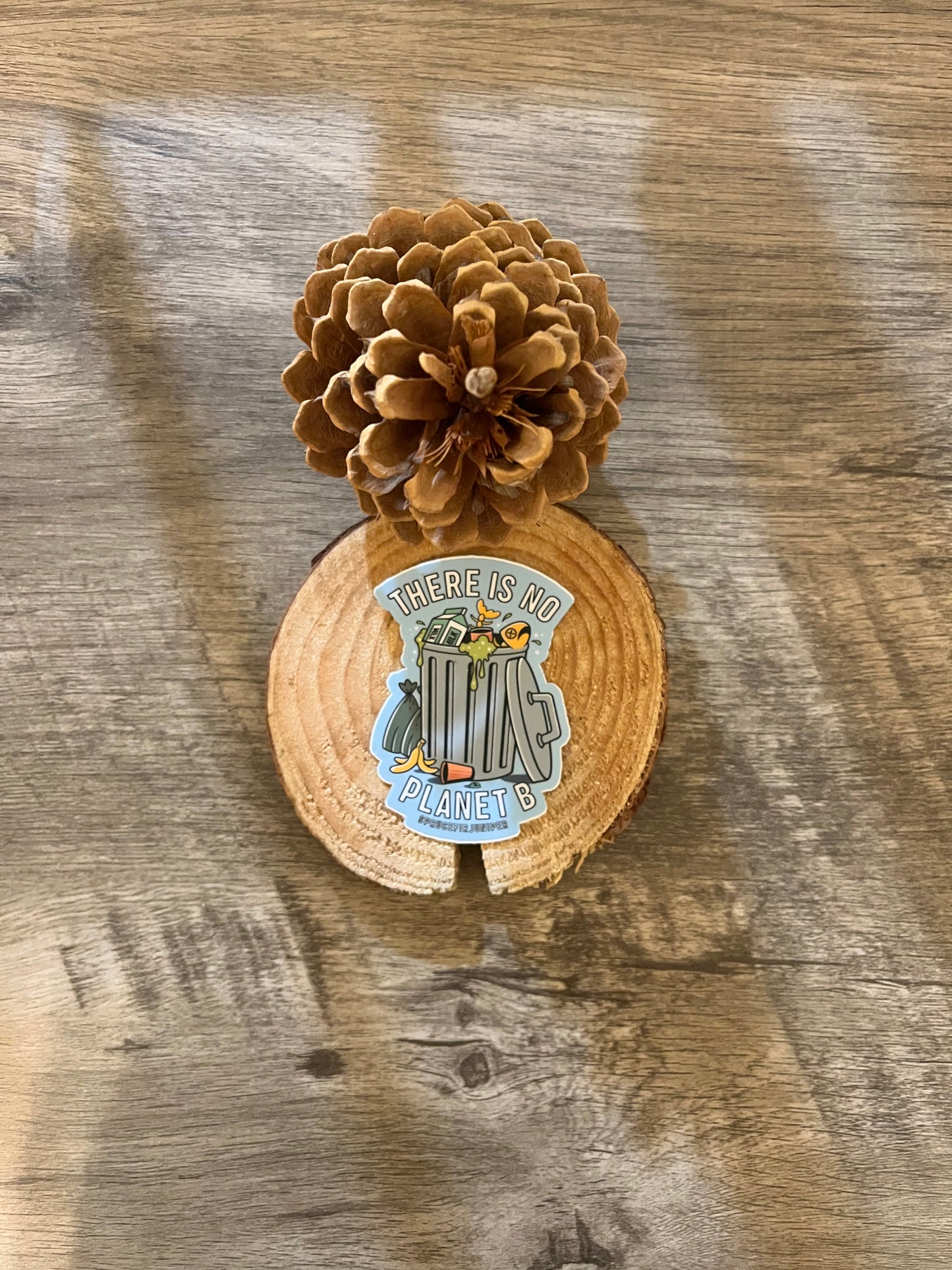 No Planet B Sticker