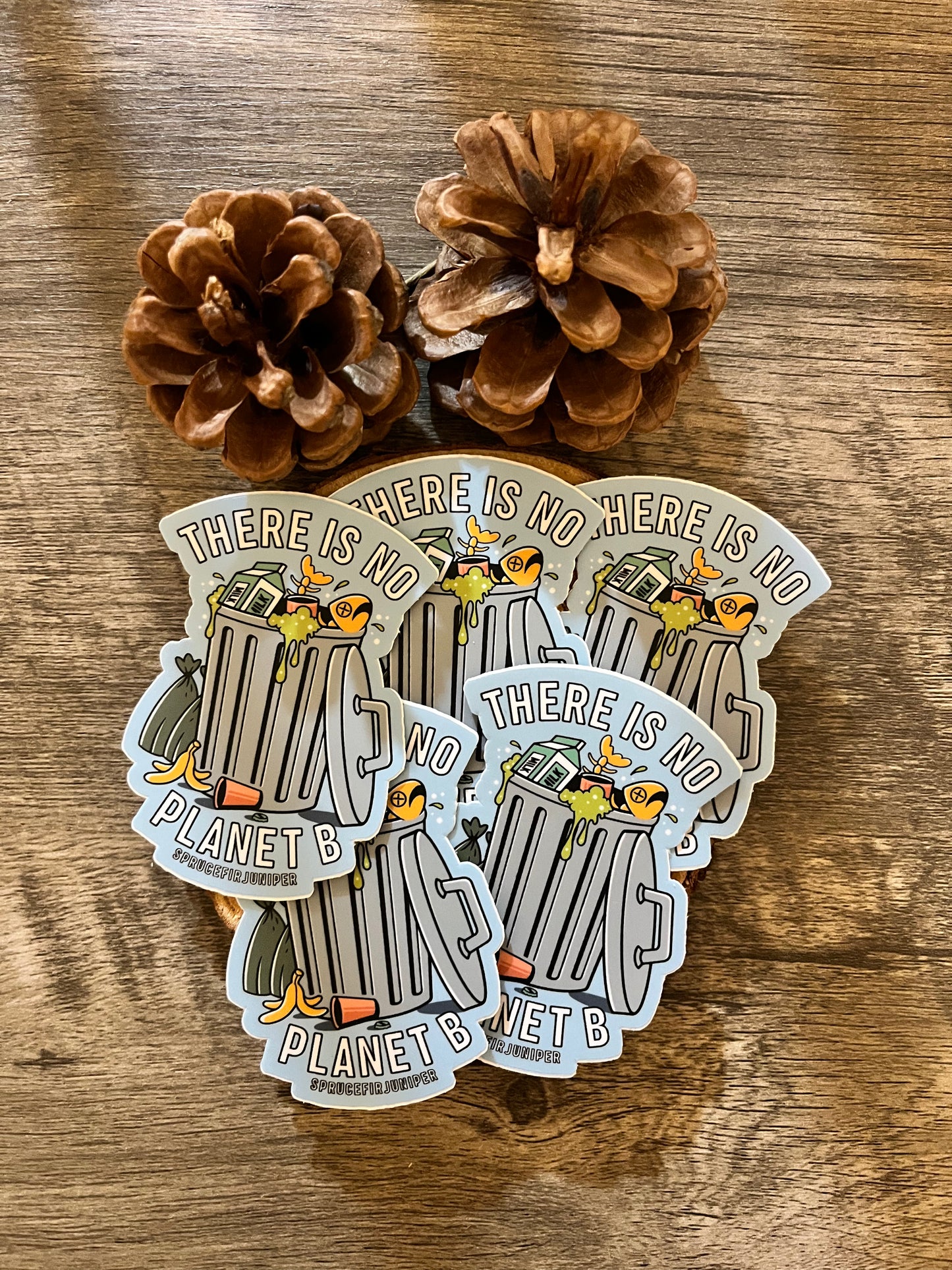 No Planet B Sticker