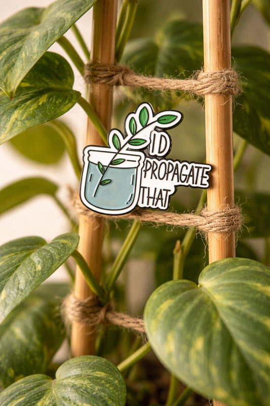 Propagate That Pin