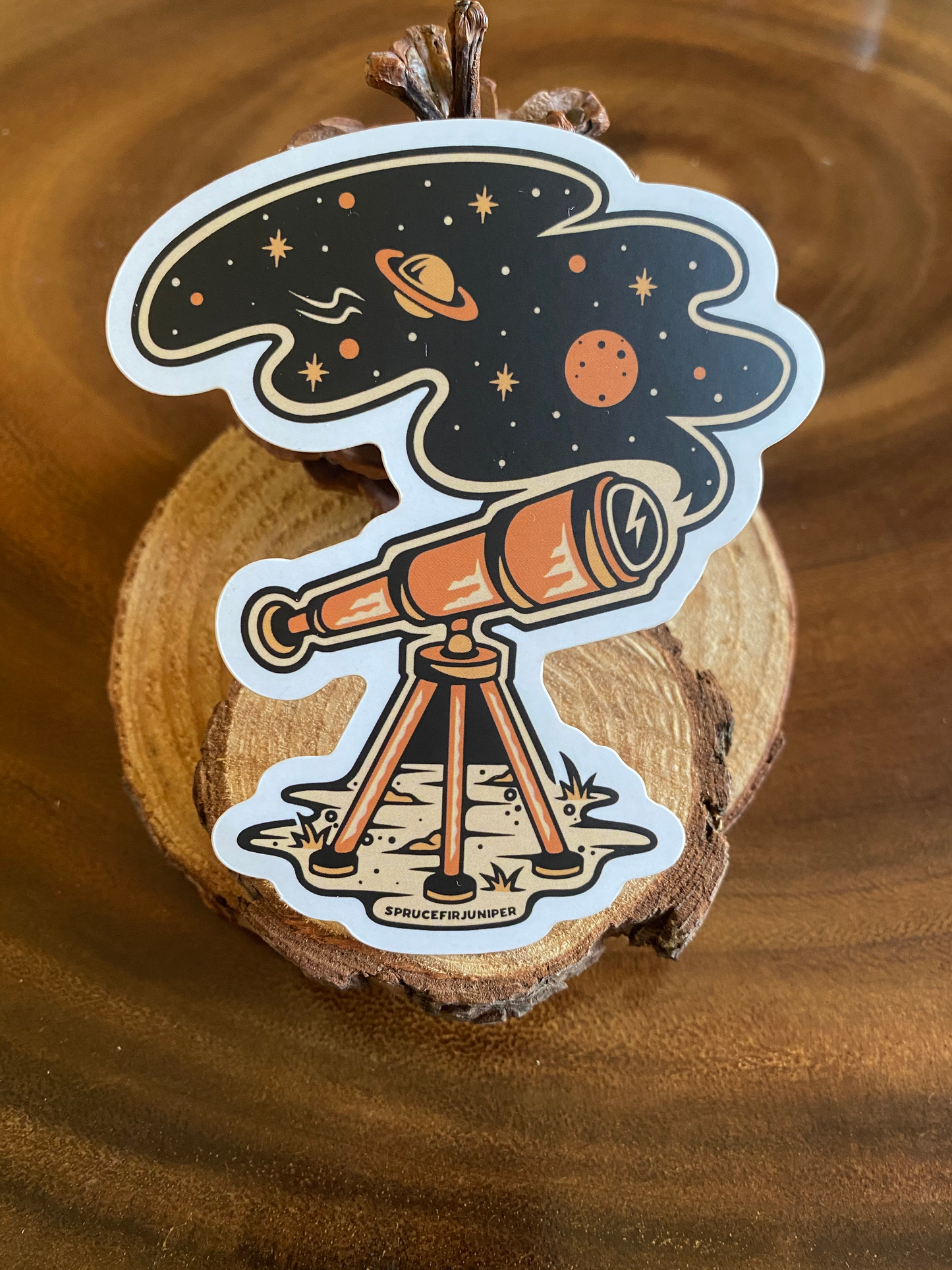 Through The Lens Sticker